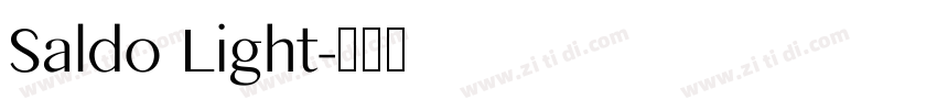 Saldo Light字体转换